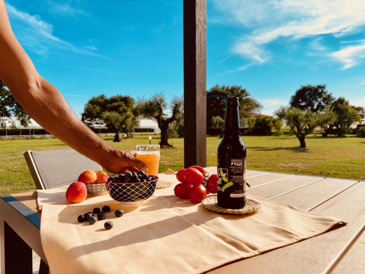 Agriturismo Il Querciolo Grosseto Zewnętrze zdjęcie